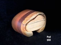 pod11