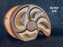 seashell11